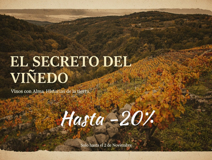 Viñedo de Adega Saiñas  en Galicia en otoño con un día nublado