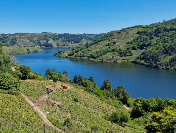 Panorámica desde la bodega Lagares de Clarabal con el curso del rio Miño y viñedos a los dos lados de las colinas.