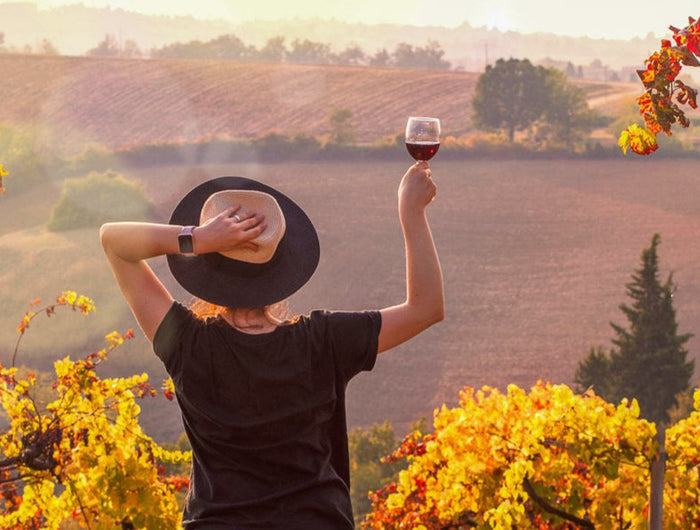 Panorámica de un viñedo en Otoño, con una chica en primer plano de espaldas brindando, con una copa de vino tinto.