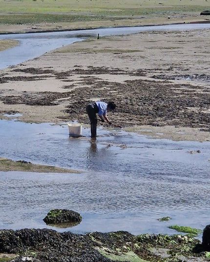 Mariscadora en Vilanova de Arousa buscando marisco.