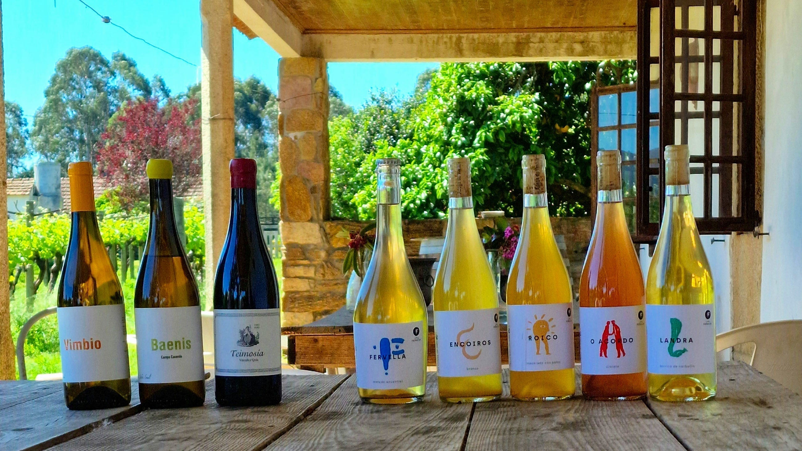 Vinos naturales, de Albariño y variedades autóctonas sobre una mesa en la bodega Adega do Vimbio, en O Rosal en Galicia.