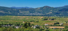 Viñas viejas entre Valtuille y Corullón en El Bierzo
