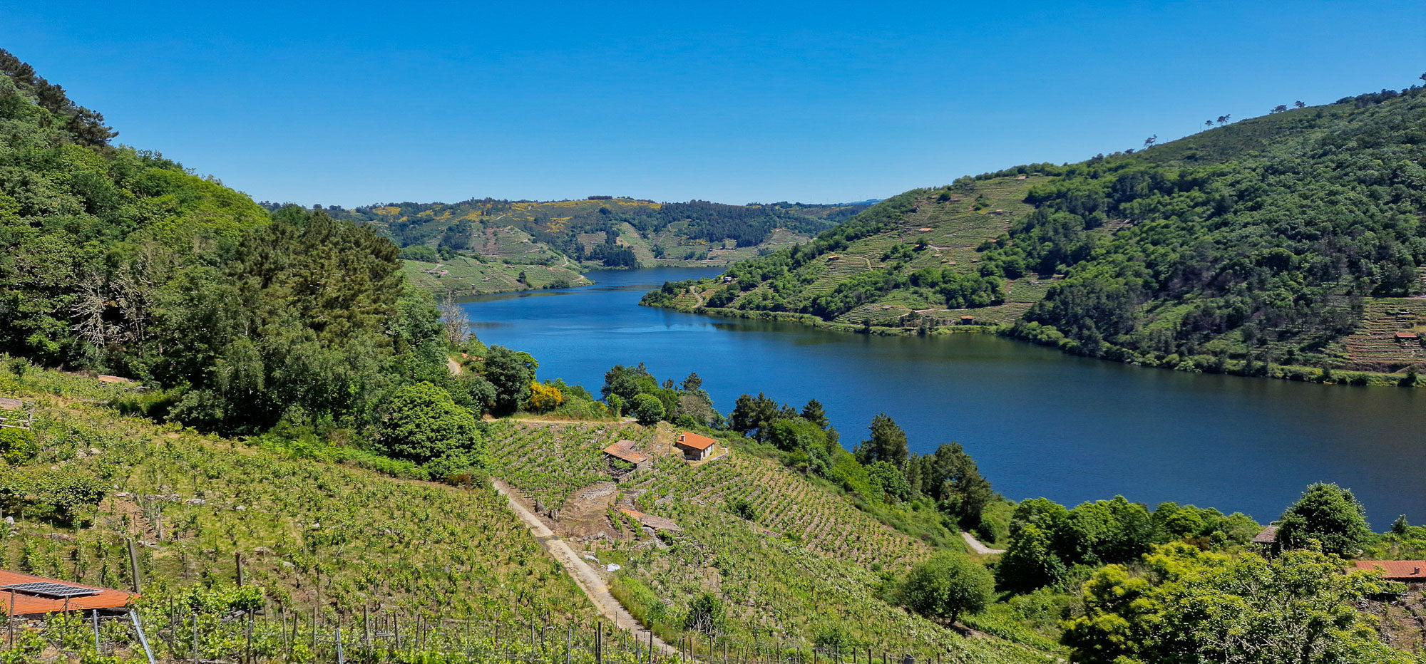 Panorámica del Rio Miño desde la Bodega Lagares de Clarabal