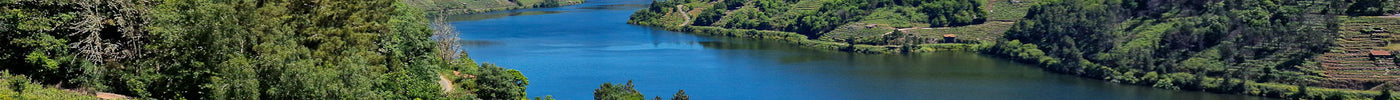 Panorámica del Rio Miño desde la Bodega Lagares de Clarabal