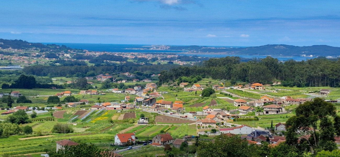 Panorámica de las Rias Baixas, famosa por el vino blanco albariño
