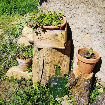 Una caja de vino Orgánico de José Antonio García, sobre un tronco en un jardín