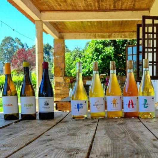 Selección de botellas de vinos naturales variadas de Adega do Vimbio, sobre una mesa de madera en un porche, con un jardín de fondo.