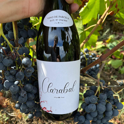 Una botella de Clarabal sobre unas uvas de Mencía un viñedo en Galicia