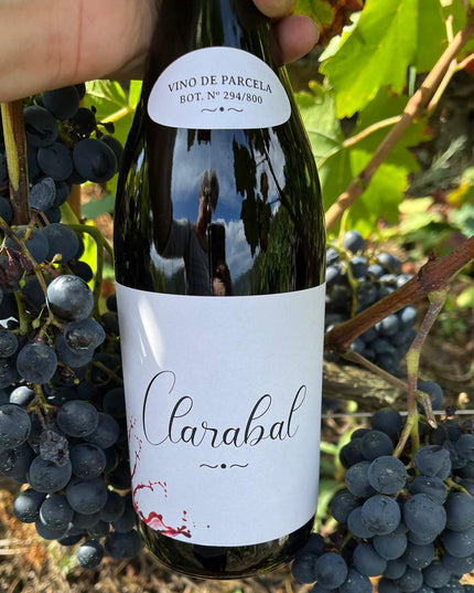 Una botella de Clarabal sobre unas uvas de Mencía un viñedo en Galicia
