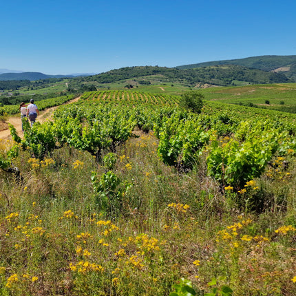 Una visita con Julia a la bodega de José A. García en el Bierzo