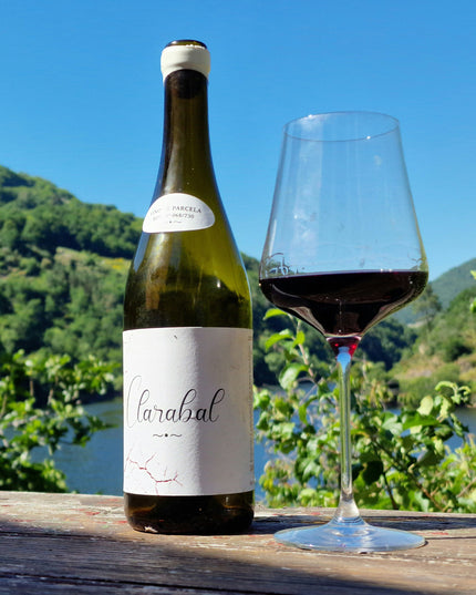 Una botella de Clarabal servida en una copa con el Río Miño al fondo en Galicia