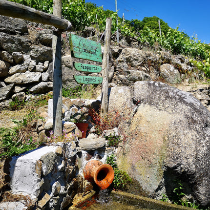 La fuente de la bodega Clarabal en Galicia