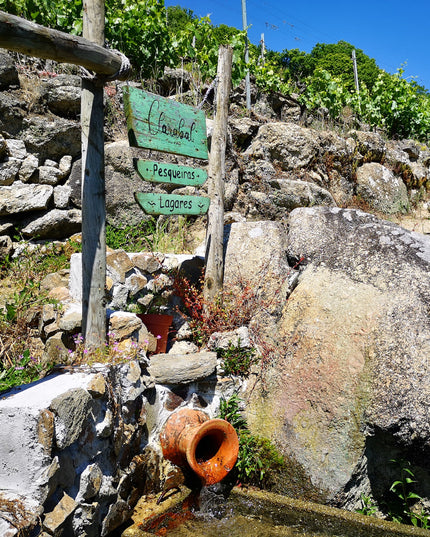 La fuente de la bodega Clarabal en Galicia