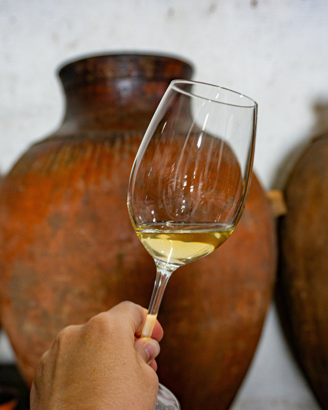 Una copa de vino albariño con unas tinajas de cerámica al fondo