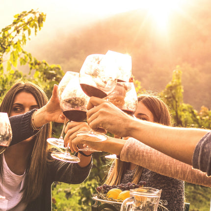 Unas personas brindando con vino Gallego en una bodega de Galicia