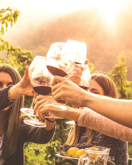 Unas personas brindando con vino Gallego en una bodega de Galicia
