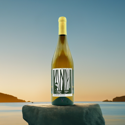 Vino blanco Godello de Galicia sobre una roca en la playa.