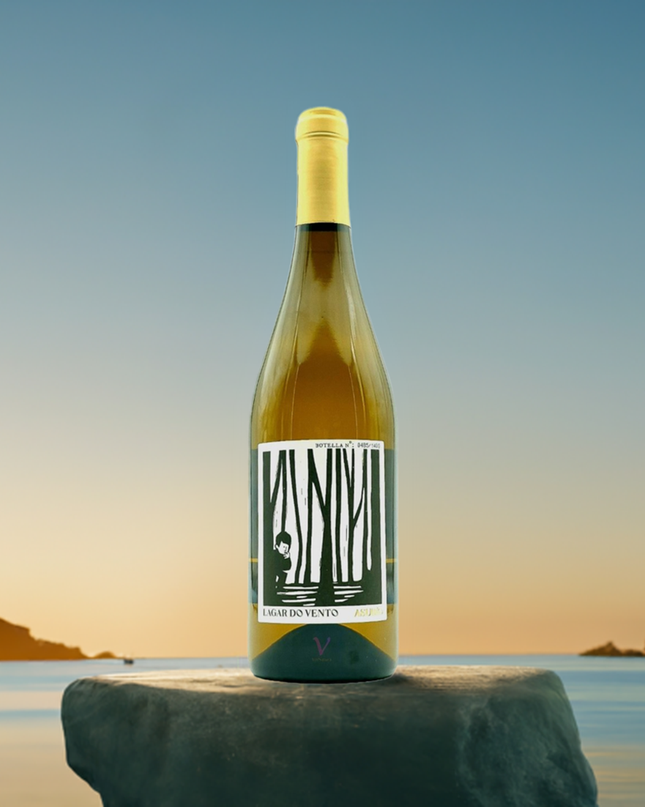 Vino blanco Godello de Galicia sobre una roca en la playa, fondo generado con Google Studio