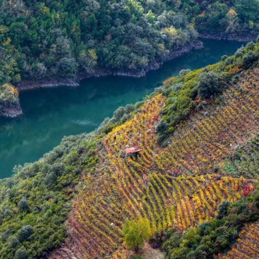 Viñedos en terrazas de Lagar do Vento junto al río, rodeados de vegetación exuberante y montañas.