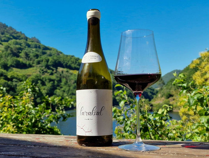 Botella de Lagares de Clarabal con una copa con vino tinto a la derecha, sobre una mesa y al fondo una panorámica de la Ribeira Sacra en Galicia con viñedos a los lados de Rio Miño.