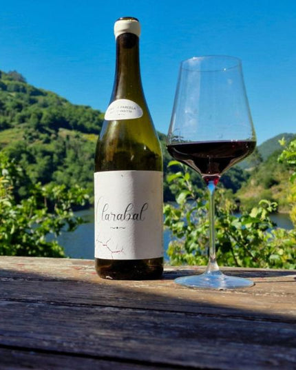 Botella de vino Lagares de Clarabal y copa de vino tinto sobre una mesa de madera, con un paisaje de viñedos y montañas al fondo bajo un cielo azul despejado.