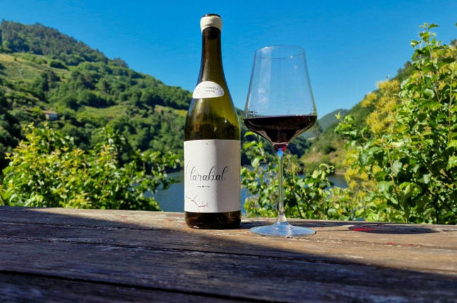 Botella de vino Lagares de Clarabal y copa de vino tinto sobre una mesa de madera, con un paisaje de viñedos y montañas al fondo bajo un cielo azul despejado.