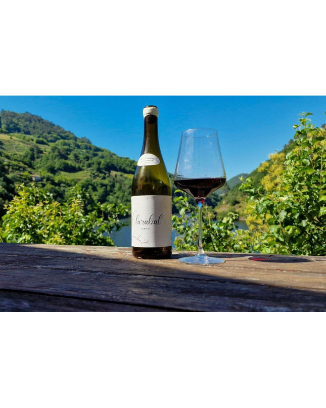 Botella de vino Lagares de Clarabal y copa de vino tinto sobre una mesa de madera, con un paisaje de viñedos y montañas al fondo bajo un cielo azul despejado.