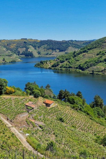 Panorámica desde la bodega Lagares de Clarabal mostrando el río Miño y las laderas con viñedos en la Ribeira Sacra.