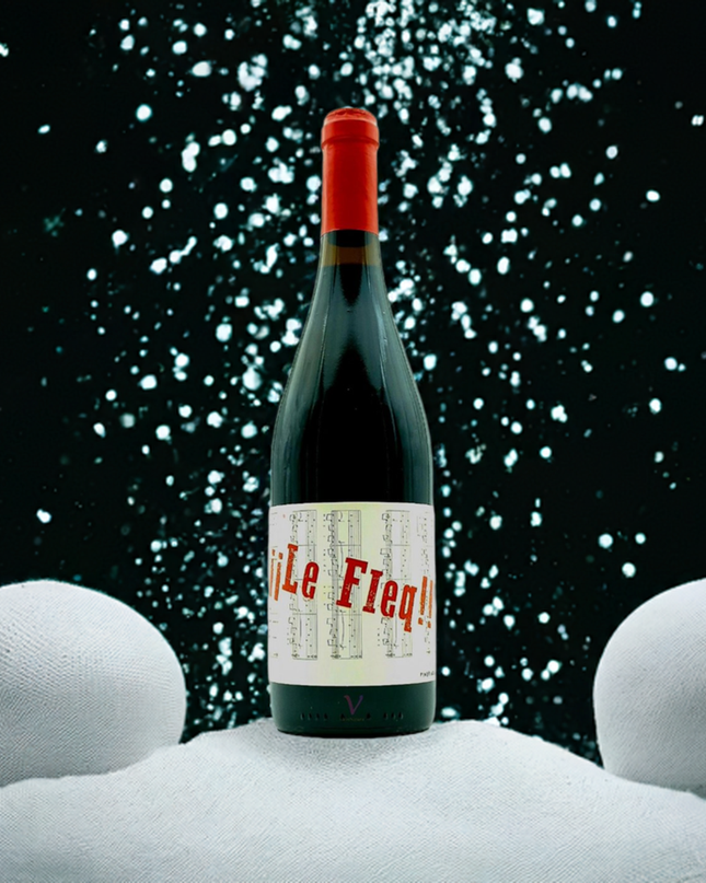 Botella de vino ecológico de Pinot Noir sobre la nieve, 2 bolas de nieve grandes a los lados y nevando.