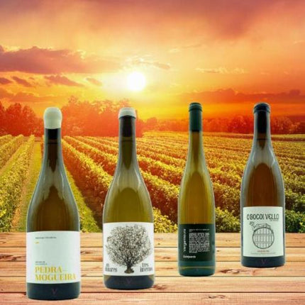 Pack de 4 vinos albariños premium de las Rias Baixas, de agricultura biodinámica o ecológica sobre una mesa en un viñedo de Galicia