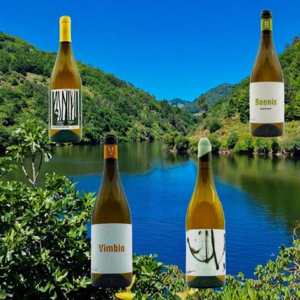 Pack de 4 vinos blancos de  variedades ecológicas Gallegas, sobre el río Miño con un valle al fondo.