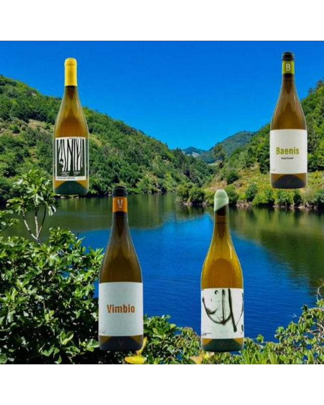 Pack de 4 vinos blancos de  variedades ecológicas Gallegas, sobre el río Miño con un valle al fondo.