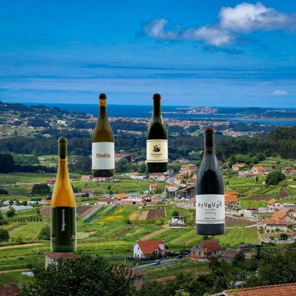 Pack de 4 vinos ecológicos Gallegos sobre una panorámica de las Rias Baixas, con casas rurales y viñedos de uva Albariño.