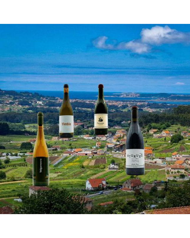 Pack de 4 vinos ecológicos Gallegos sobre una panorámica de las Rias Baixas, con casas rurales y viñedos de uva Albariño.