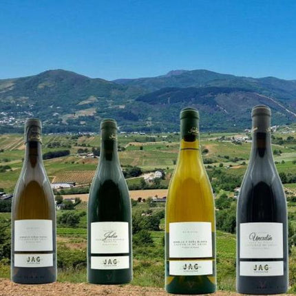 Pack de 4 vinos de viñas viejas de José Antonio García, 2 son Godello y 2 Mencía. Sobre una panorámica de un viñedo en el Bierzo.