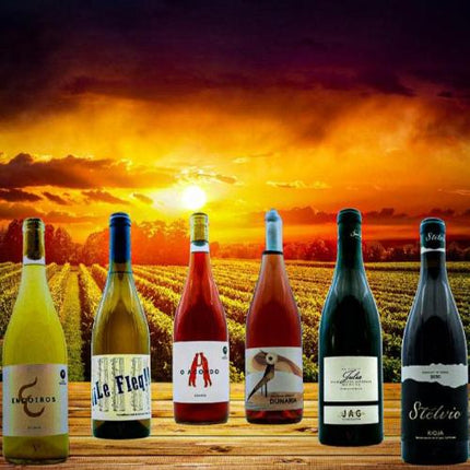 Selección del sumiller de Vinnatura de un pack de 6 vinos Españoles. Sobre una mesa en un viñedo de Galicia al atardecer.