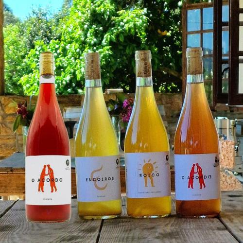 Pack de 4 vinos naturales de Galicia, sobre una mesa en la terraza de la bodega Adega do Vimbio en las Rías Baixas.