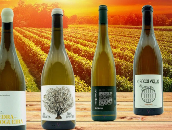 Pack de los mejores vinos albariños de Galicia, sobre una mesa de madera con un viñedo al fondo en el atardecer