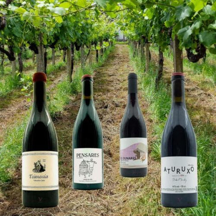 Pack de 4 vinos tintos ecológicos de las Rias Baixas, con envio gratis, sobre un viñedo de agricultura orgánica de Galicia.