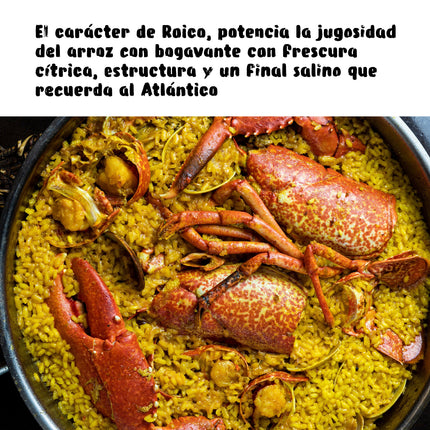 Un arroz con bogavante, con un texto para maridarlo con Roico un vino naranja
