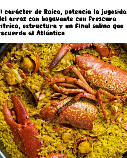 Un arroz con bogavante, con un texto para maridarlo con Roico un vino naranja