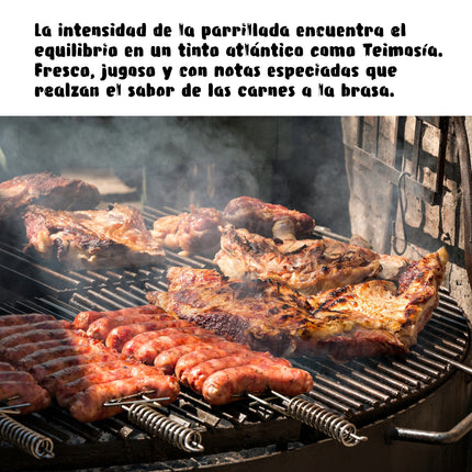 Un asado de varias carnes asado con un texto para maridarlo con un vino tinto Teimosía de Galicia