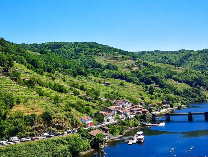 Panorámica de los viñedos de la Ribeira Sacra, en terrazas a los lados del Rio Miño en un día despejado. El rio es cruzado por un puente, a los lados hay casa típicas de Galicia, con un embarcadero.