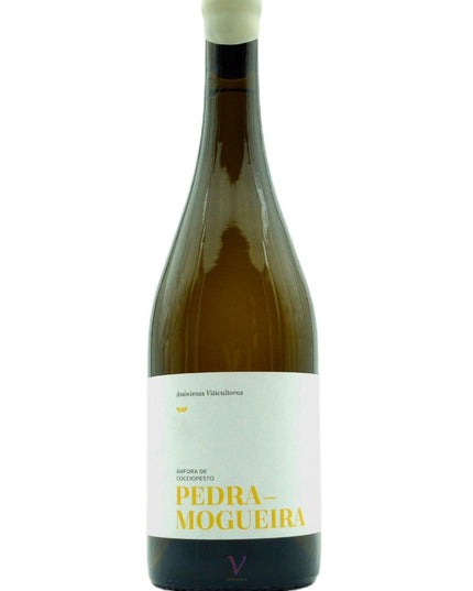 Botella de vino ecológico de Albariño, Pedramogueira sobre un fondo blanco.