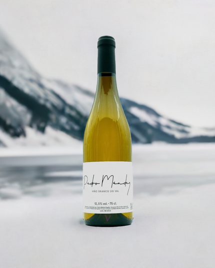 Botella de vino ecológico de Pedro Méndez sobre la nieve en un lago congelado.