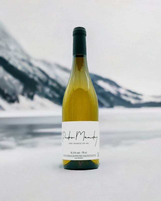 Botella de vino ecológico de Pedro Méndez sobre la nieve en un lago congelado.