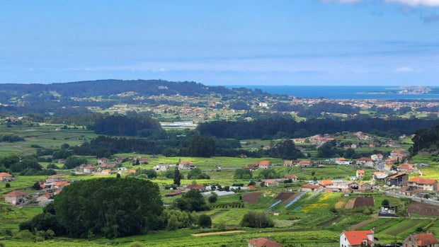 Panorámica de las Rias Baixas con viñedos y casas y el Oceano Atlántico al fondo.