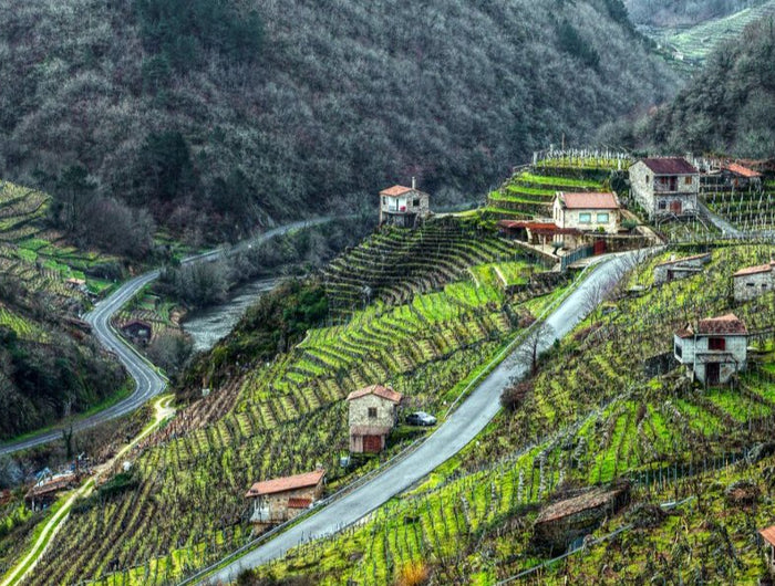 Panorámica con efecto granulada de un valle montañoso en Galicia, atravesado por un río, con viñedos ecológicos y casas rurales.