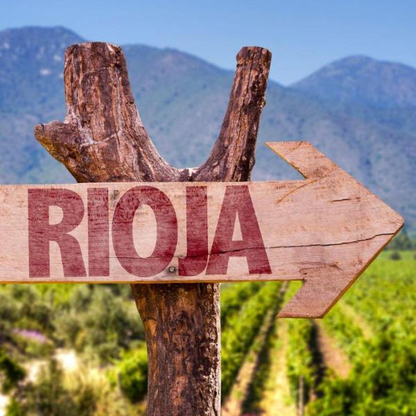 Primer plano de un letrero en forma de flecha, con la palabra Rioja, sobre un tronco, en segundo plano y desenfocados un viñedo con unas montañas al fondo.