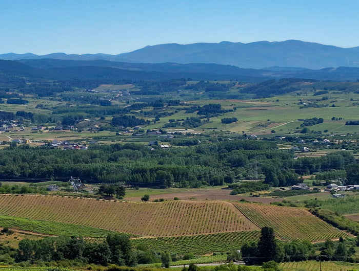 Viñedos Orgánicos de Mencía y Godello de viñas viejas en el Bierzo, de José Antonio García, versión móvil.